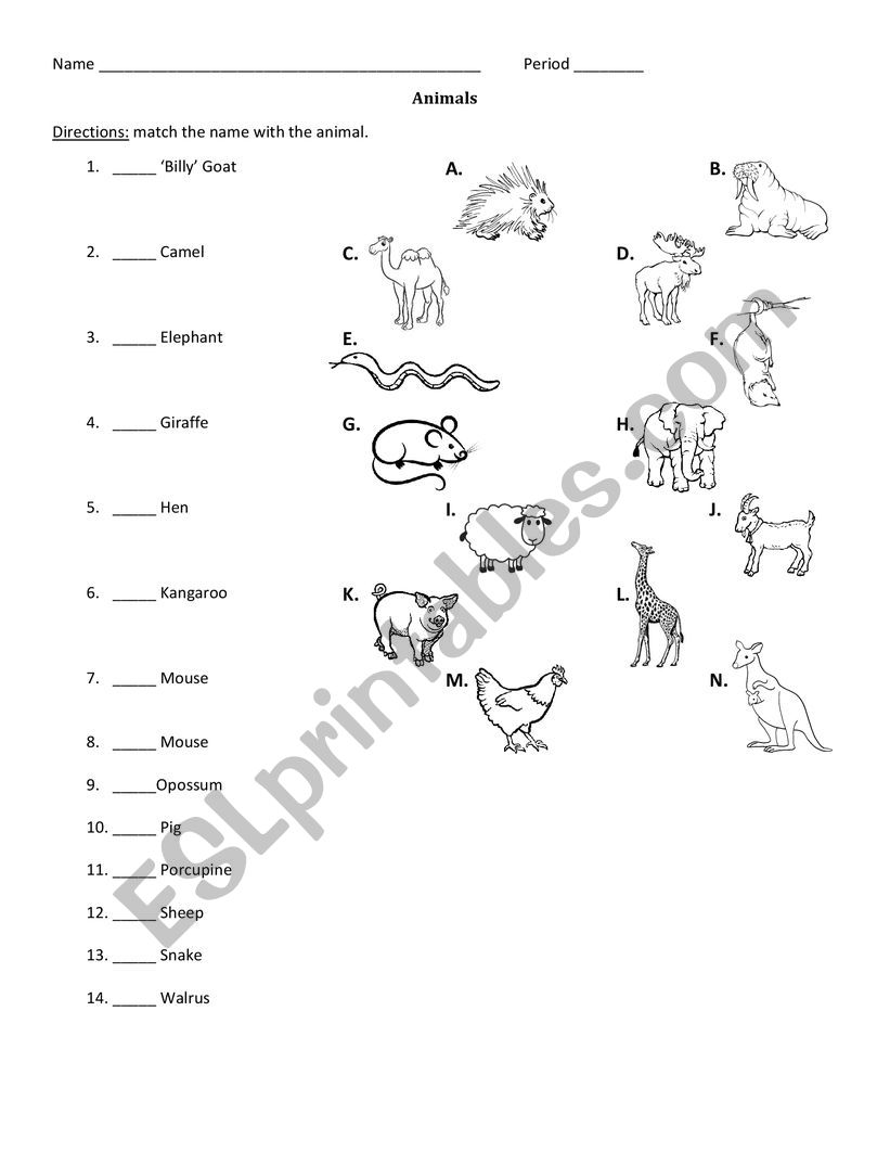 Animals worksheet