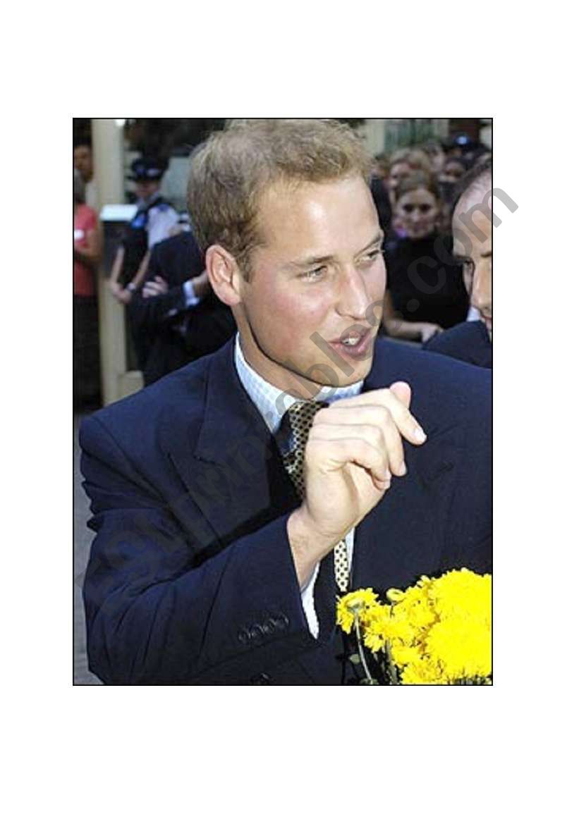 flash-card Prince William worksheet