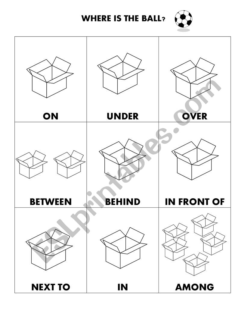 Where is the ball? worksheet