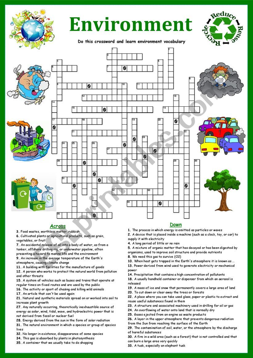 Environment Crossword - ESL worksheet by Solnechnaya