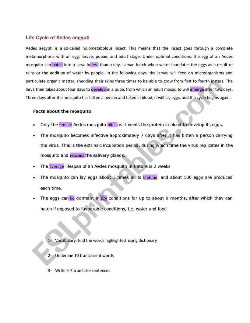 aedes aegyrty worksheet