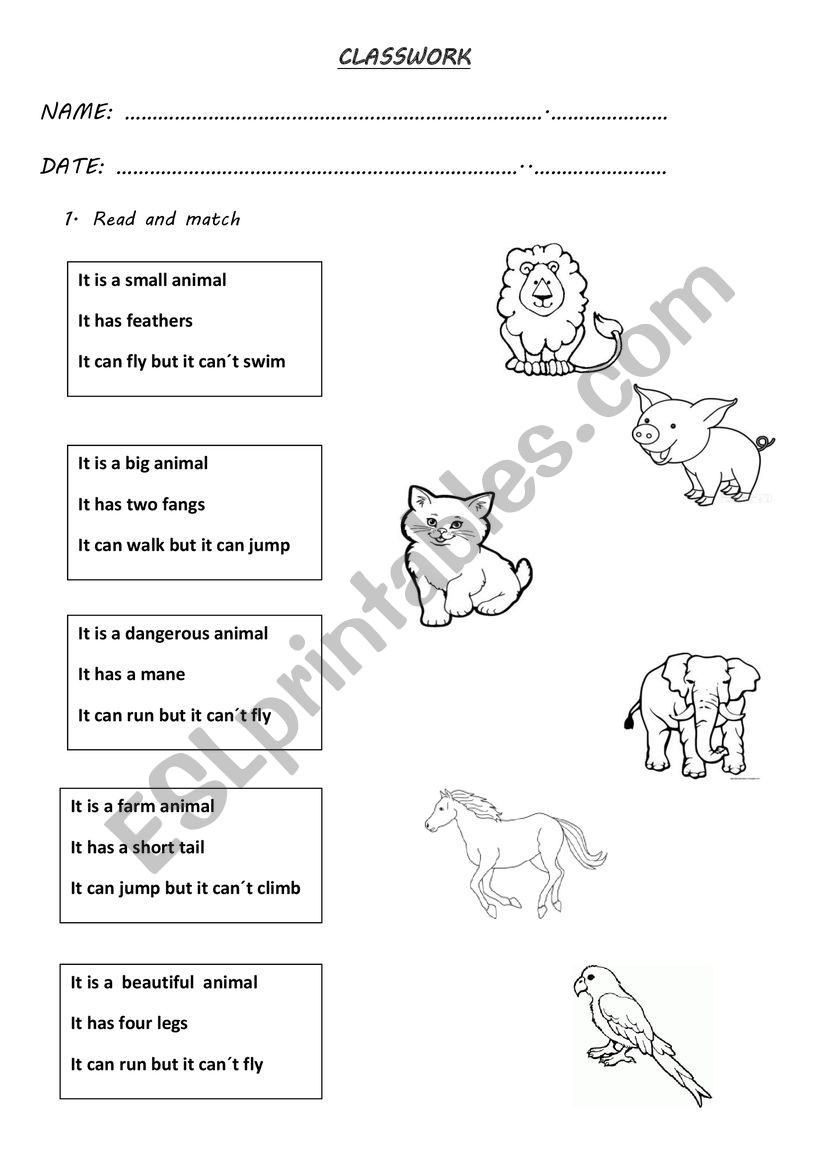 ANIMALS worksheet