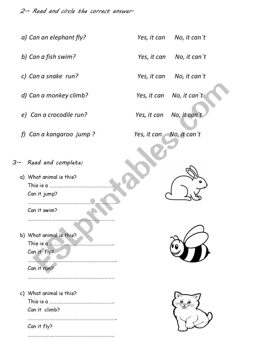 ANIMALS worksheet