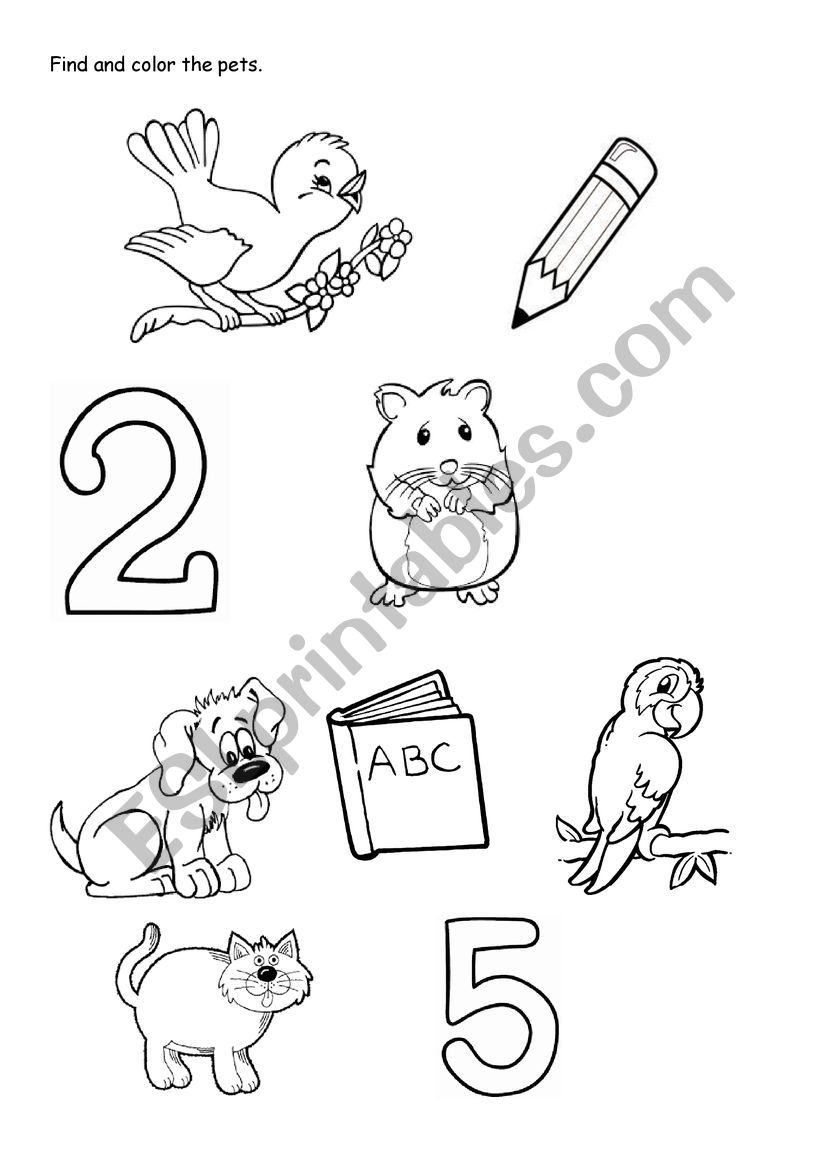 Find and color only the pets worksheet