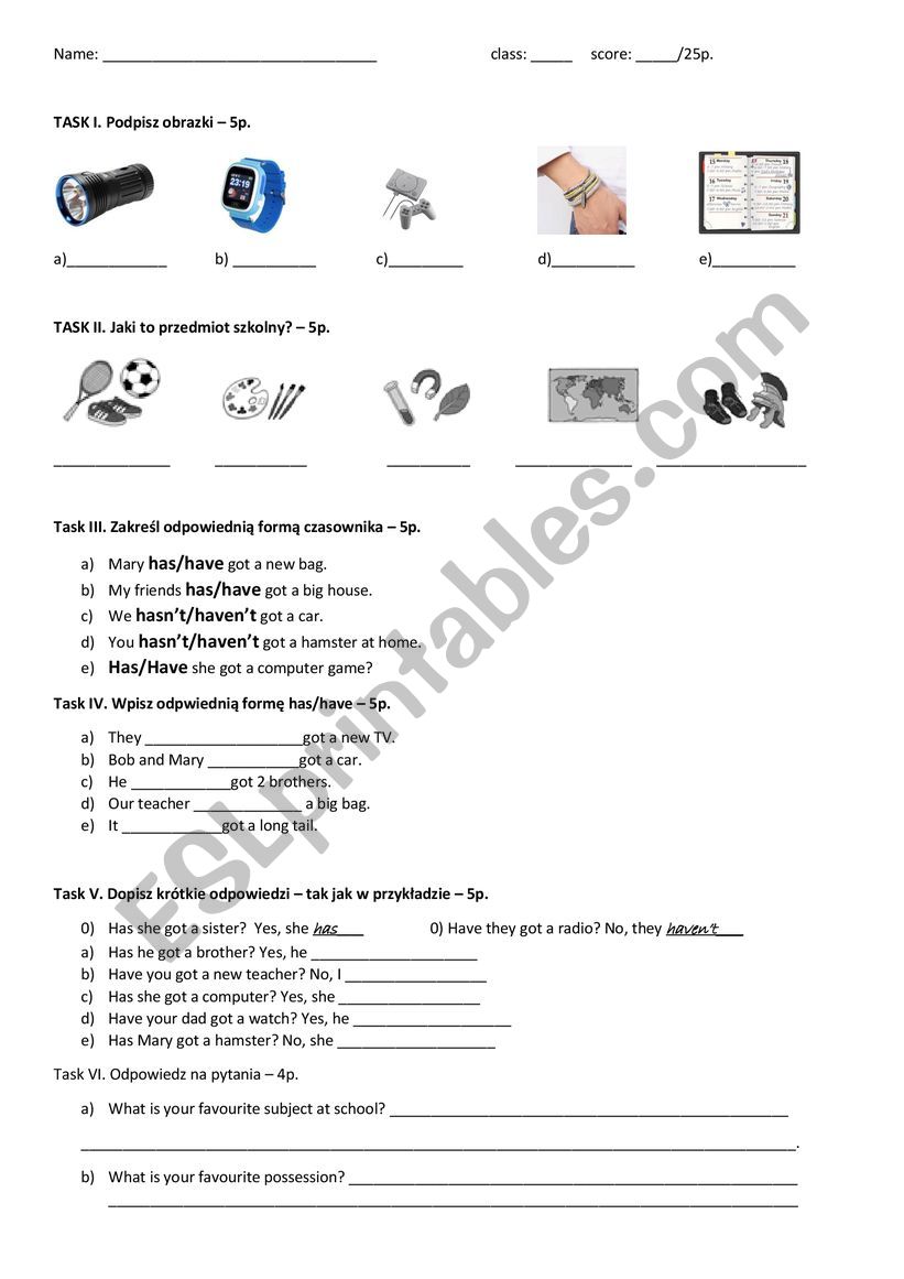 Have got and possessions worksheet