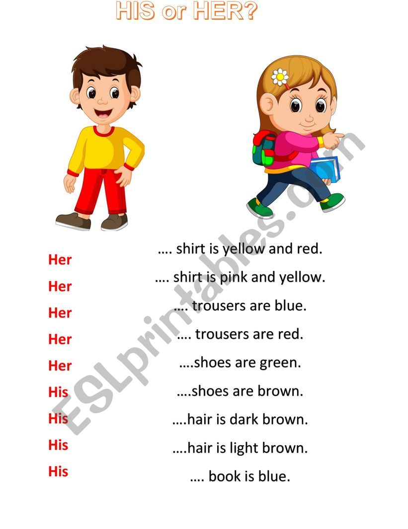 HIS or HER? worksheet