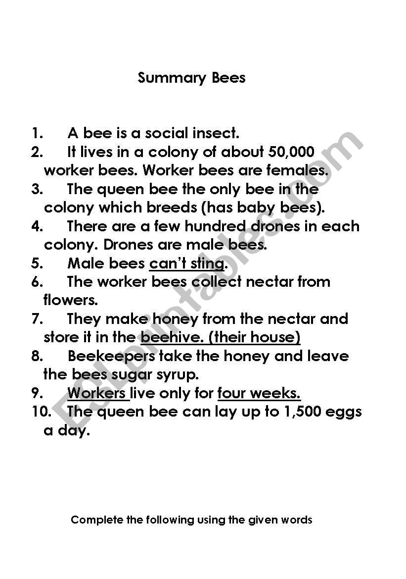 bees worksheet