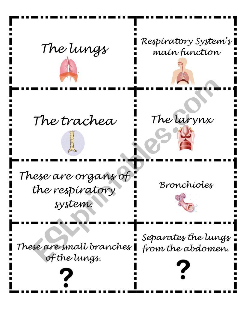 31 Respiratory System Label Worksheet - Labels For You