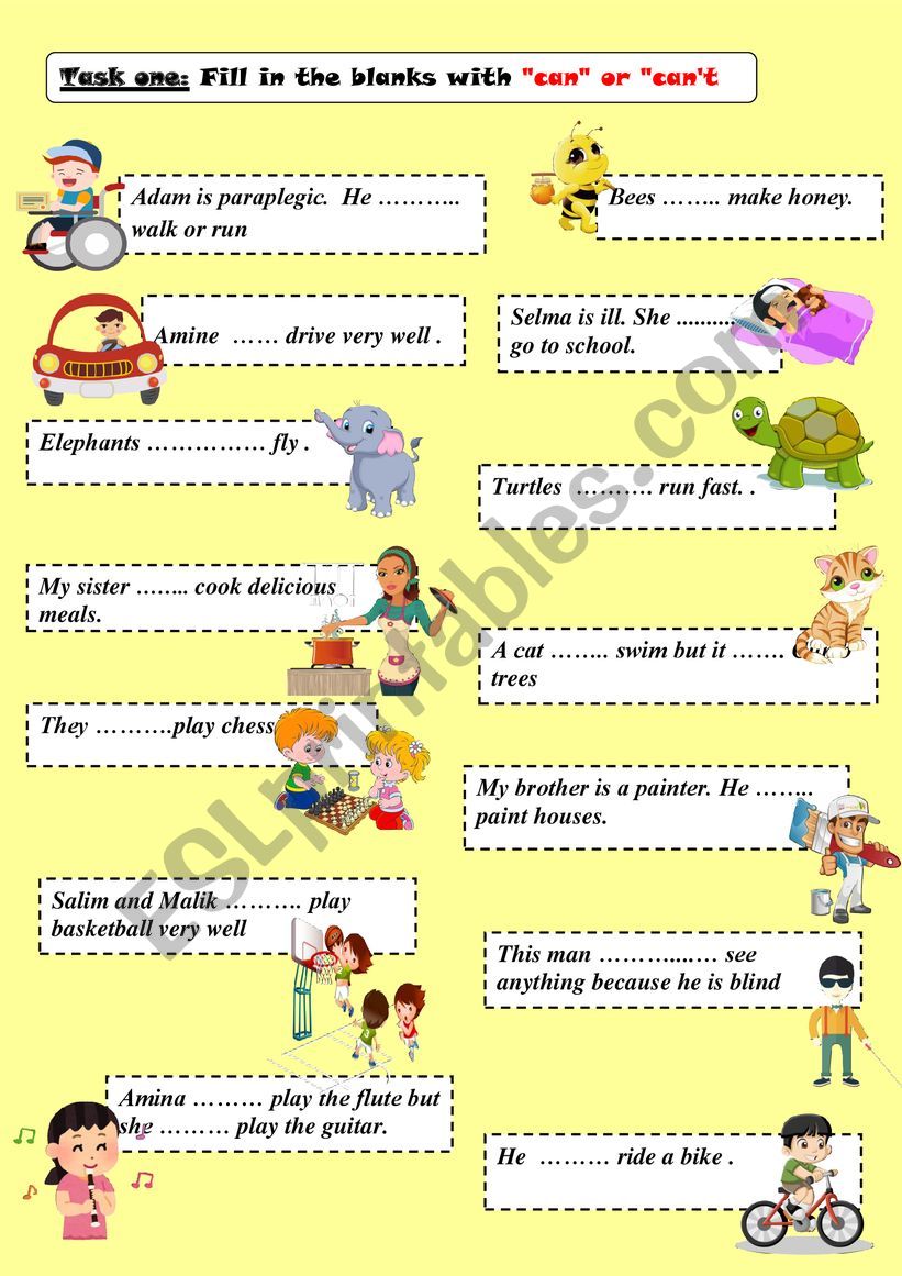 can and cant worksheet