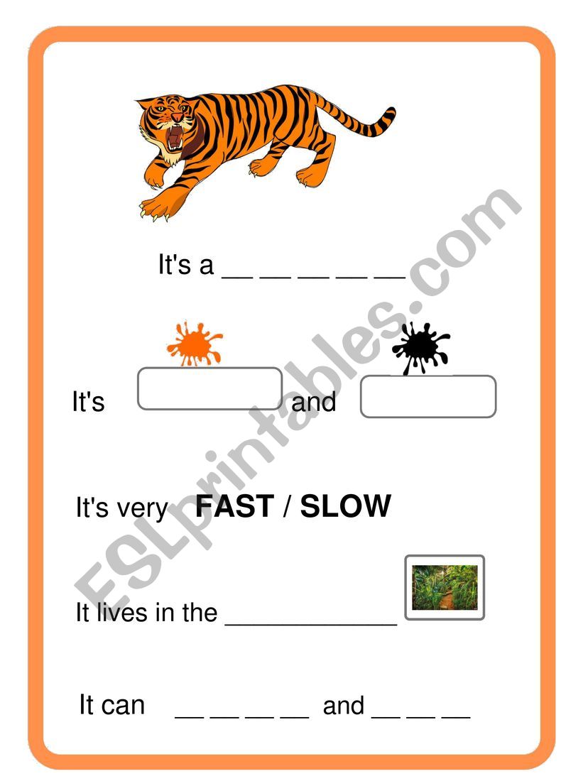 animals - descriptions worksheet