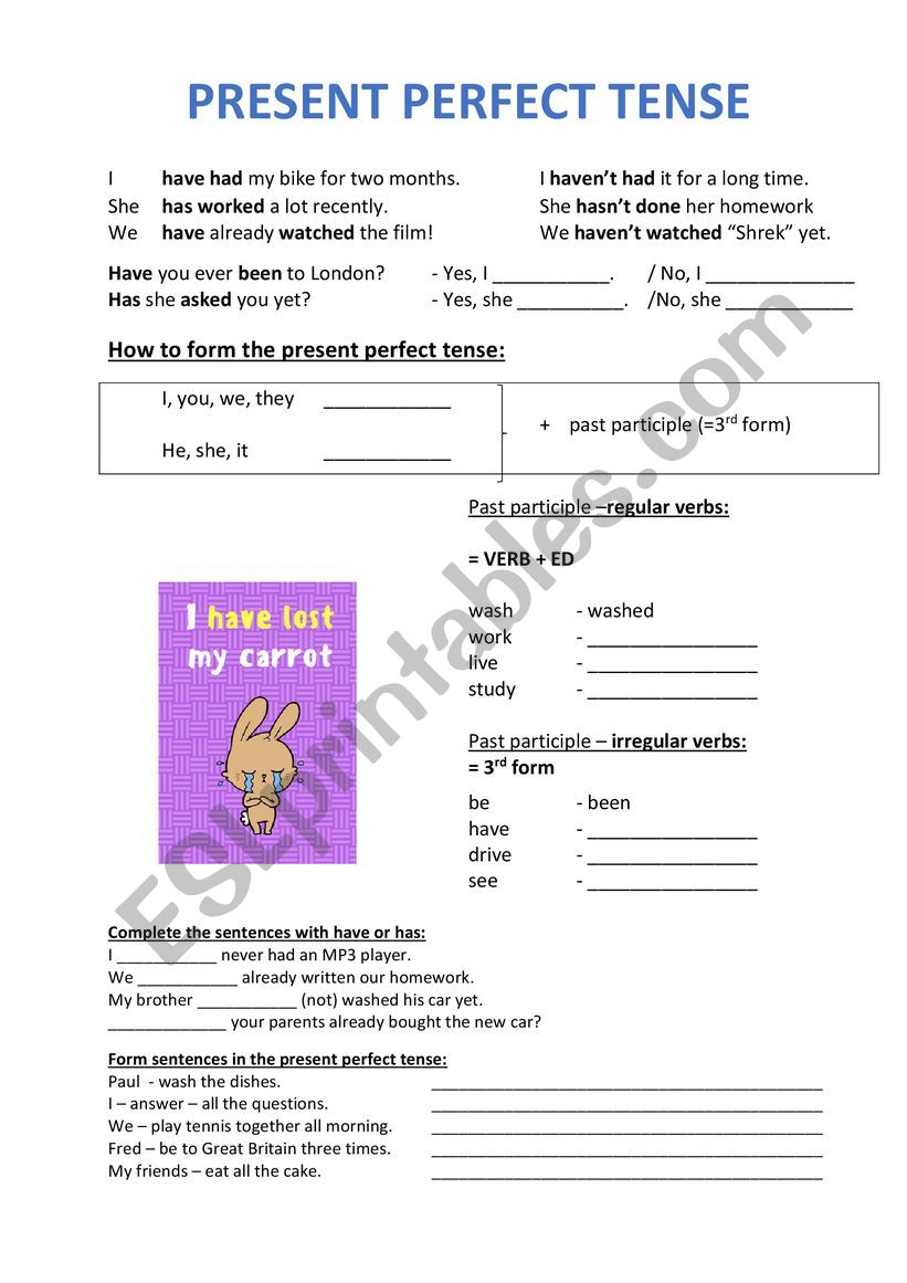 Present perfect tense worksheet