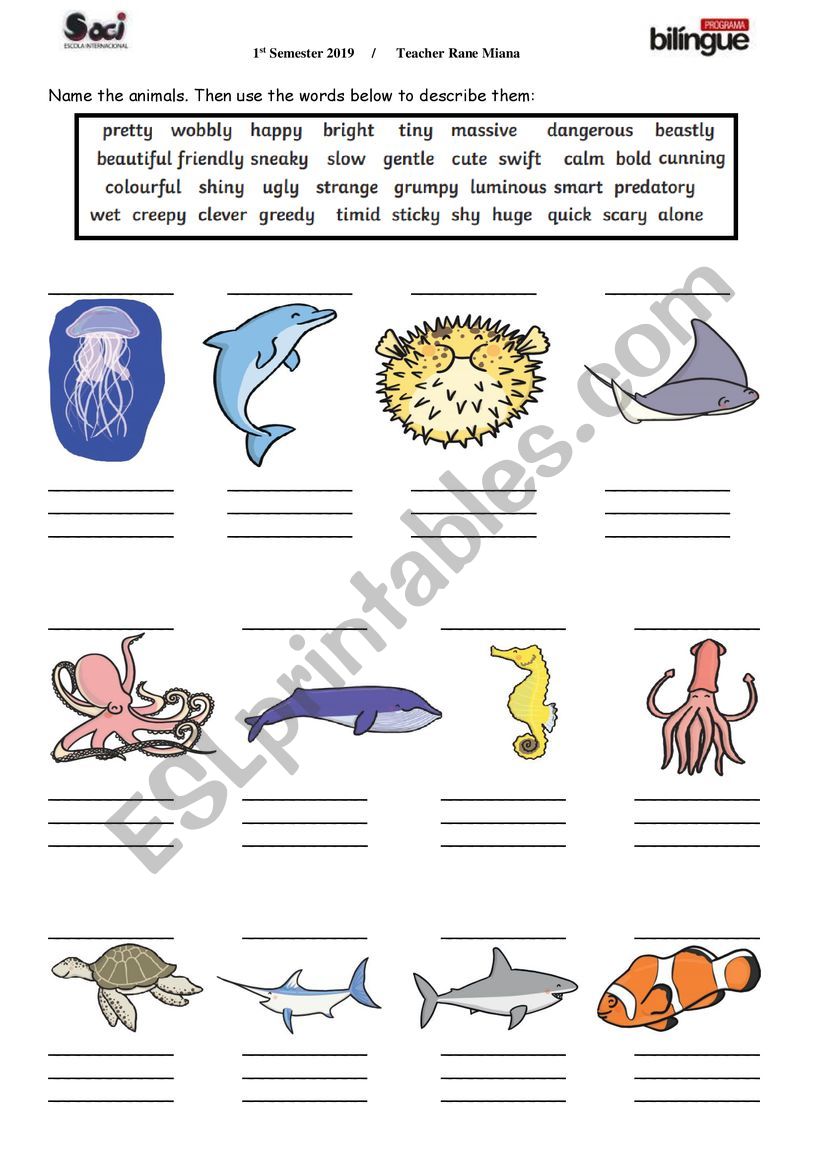 sea animals - ESL worksheet by ranemiana