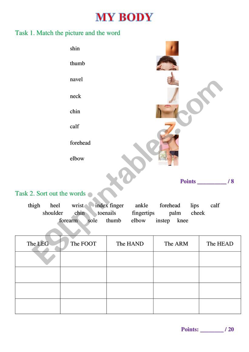 My body (test) worksheet