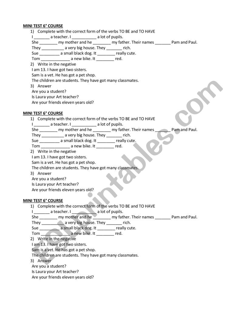 mini test verbs to be and to have