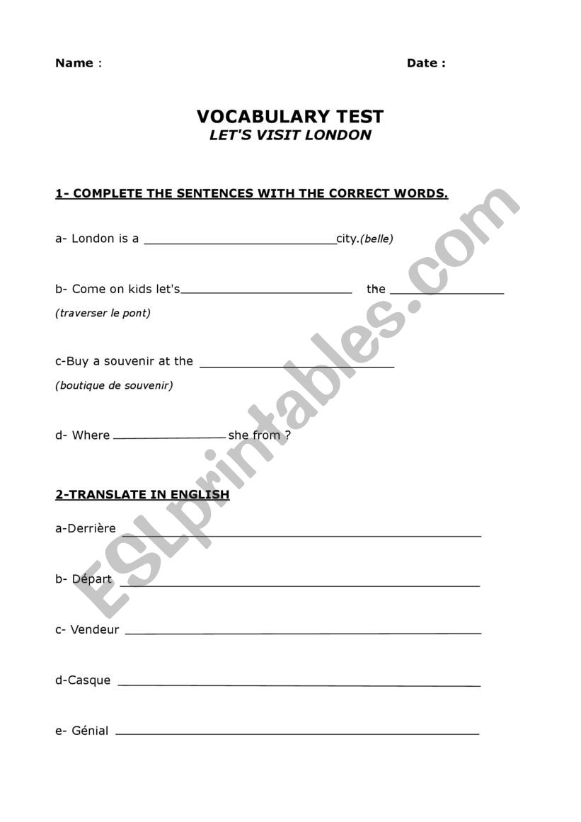 Vocabulary Test worksheet