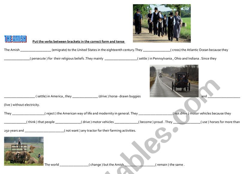 The Amish lifestyle worksheet