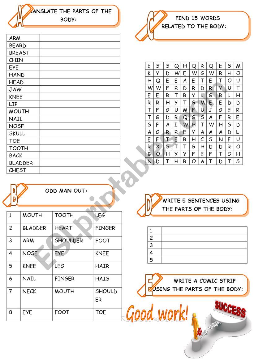 PARTS OF THE BODY worksheet