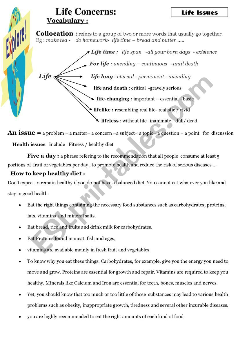 summary lesson  life concerns worksheet