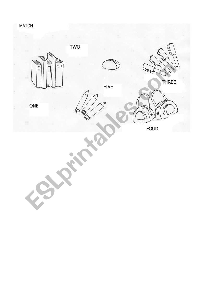 MATCH worksheet