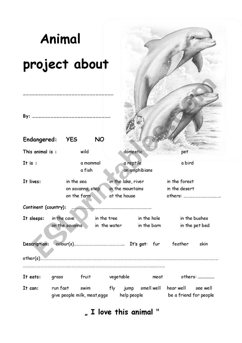 Dolphin project worksheet