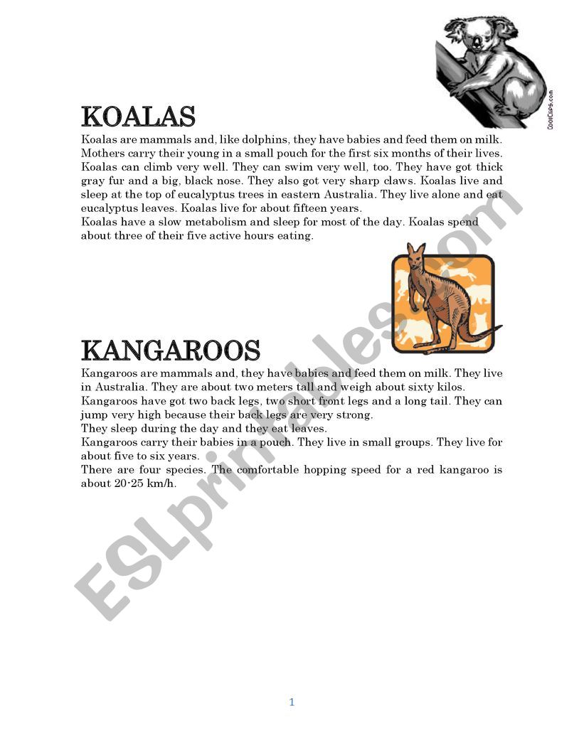 Kangaroos and Koalas worksheet