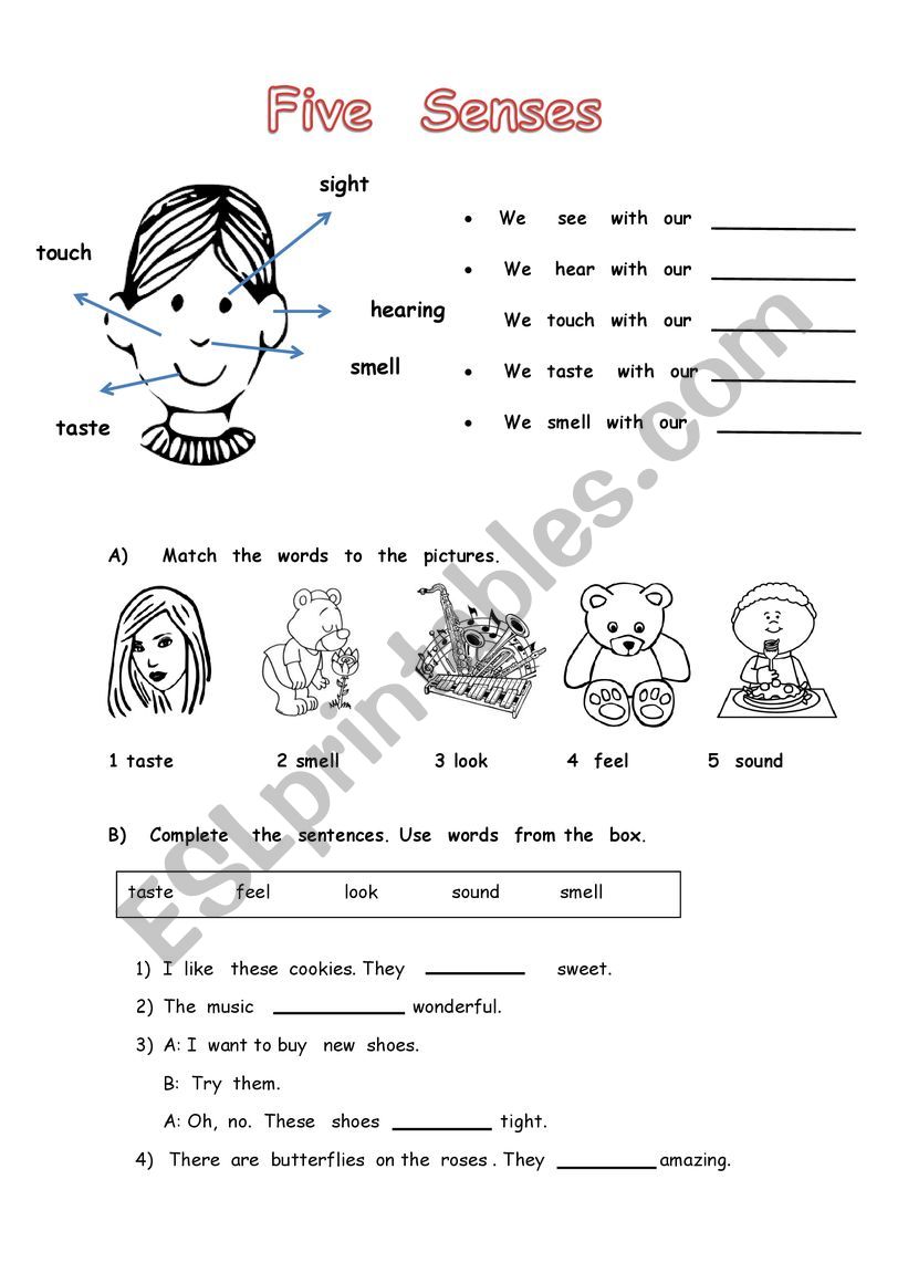 Senses worksheet