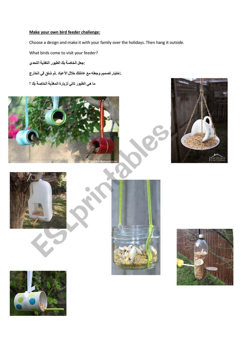 Bird Feeder Challenge worksheet
