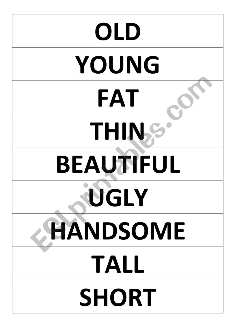 adjectives worksheet