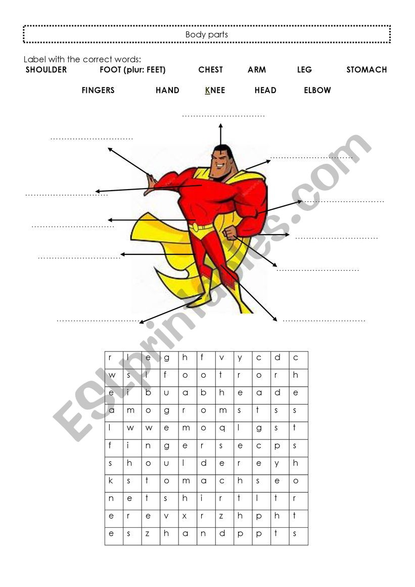 Parts of the body worksheet