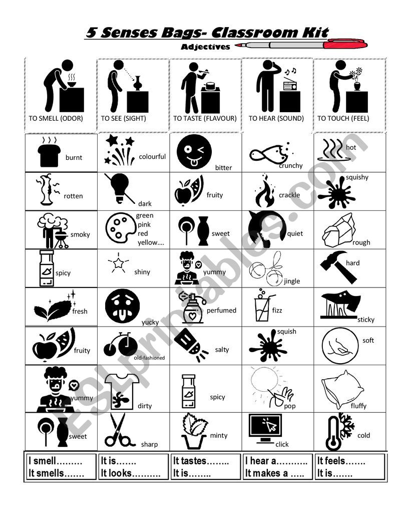 5 Senses Bags worksheet