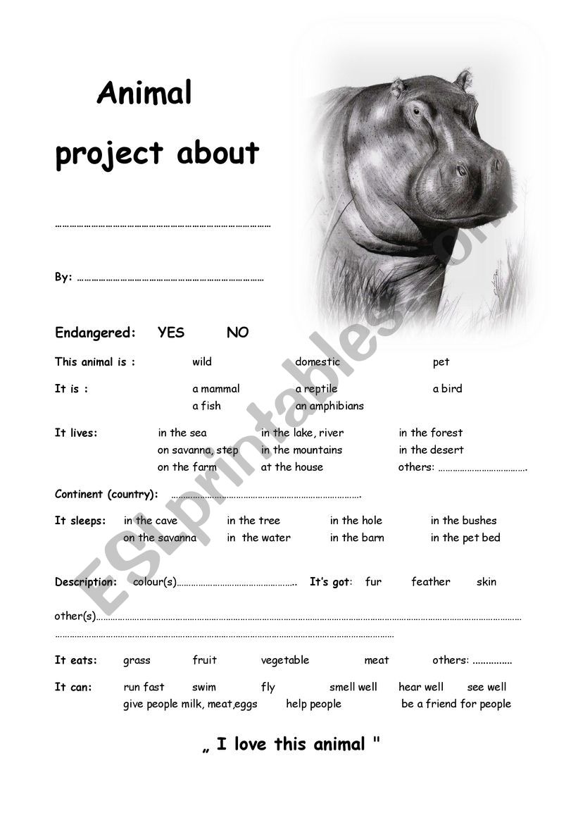 Hippo project worksheet