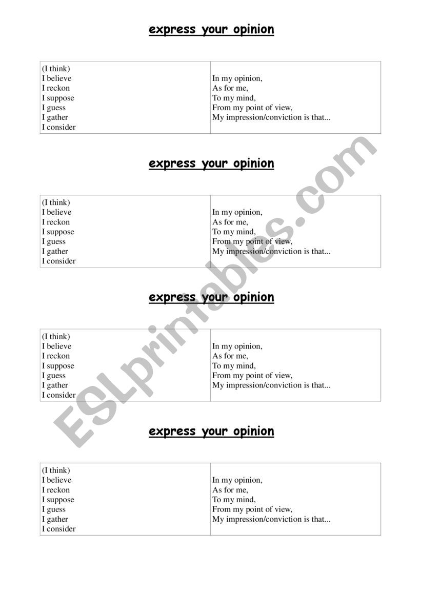 Express opinion worksheet