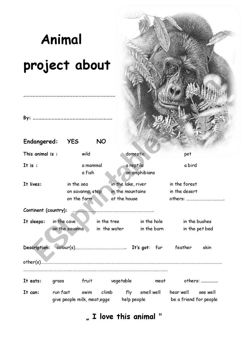 Gorrila project worksheet