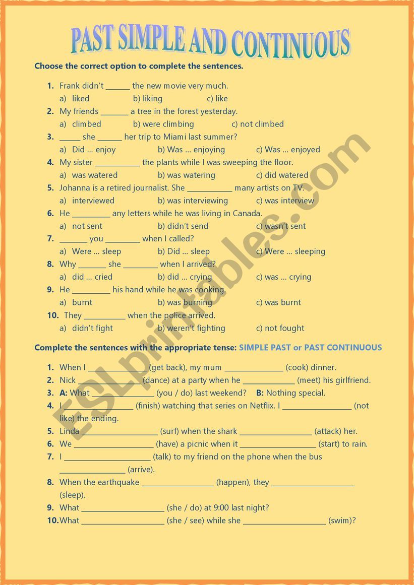 Past Simple and Continuous worksheet