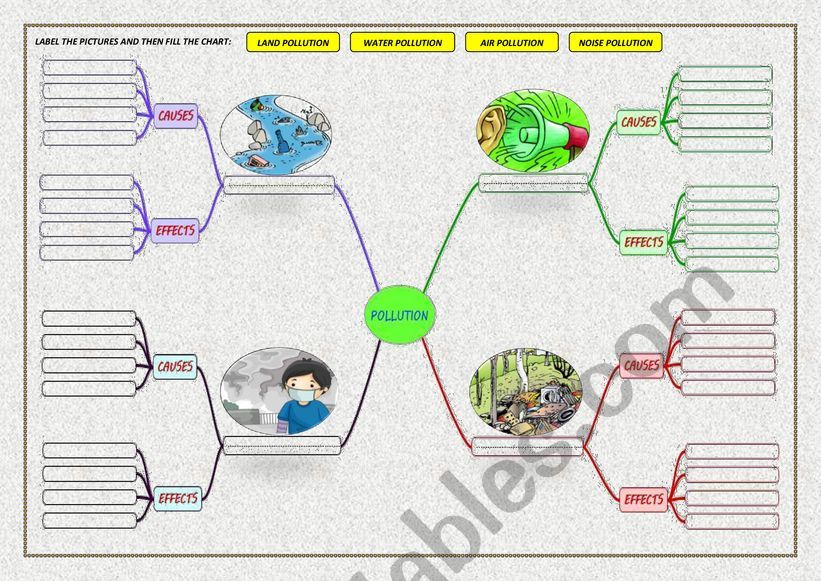 POLLUTION : TYPES, CAUSES AND EFFECTS ( PART TWO : MIND MAP FILLING )