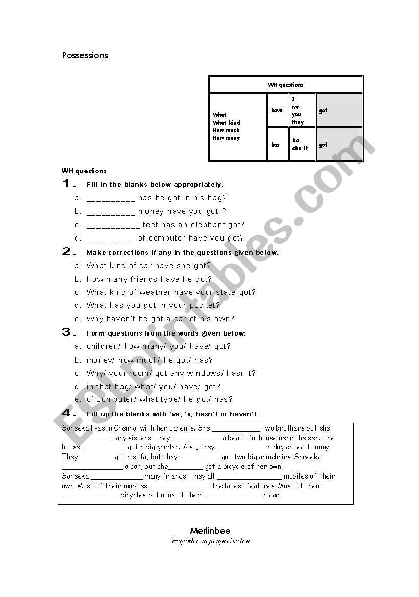 Possessions - Information Questions