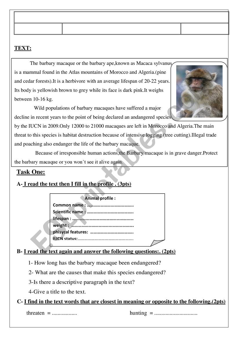 endangered animals worksheet