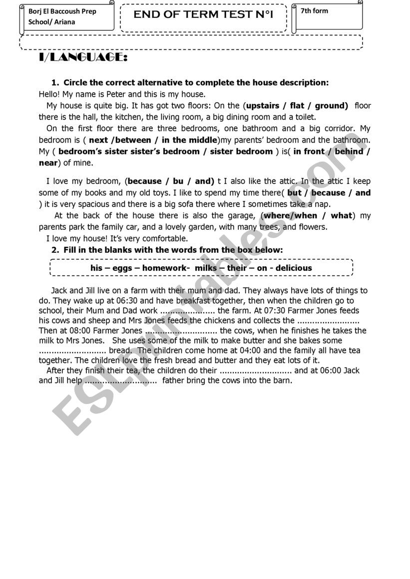 END OF TERM TEST NI worksheet