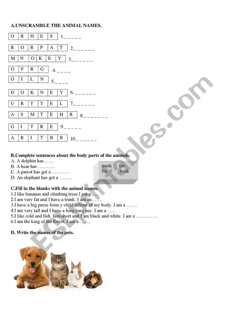  WILD ANIMALS AND PETS worksheet