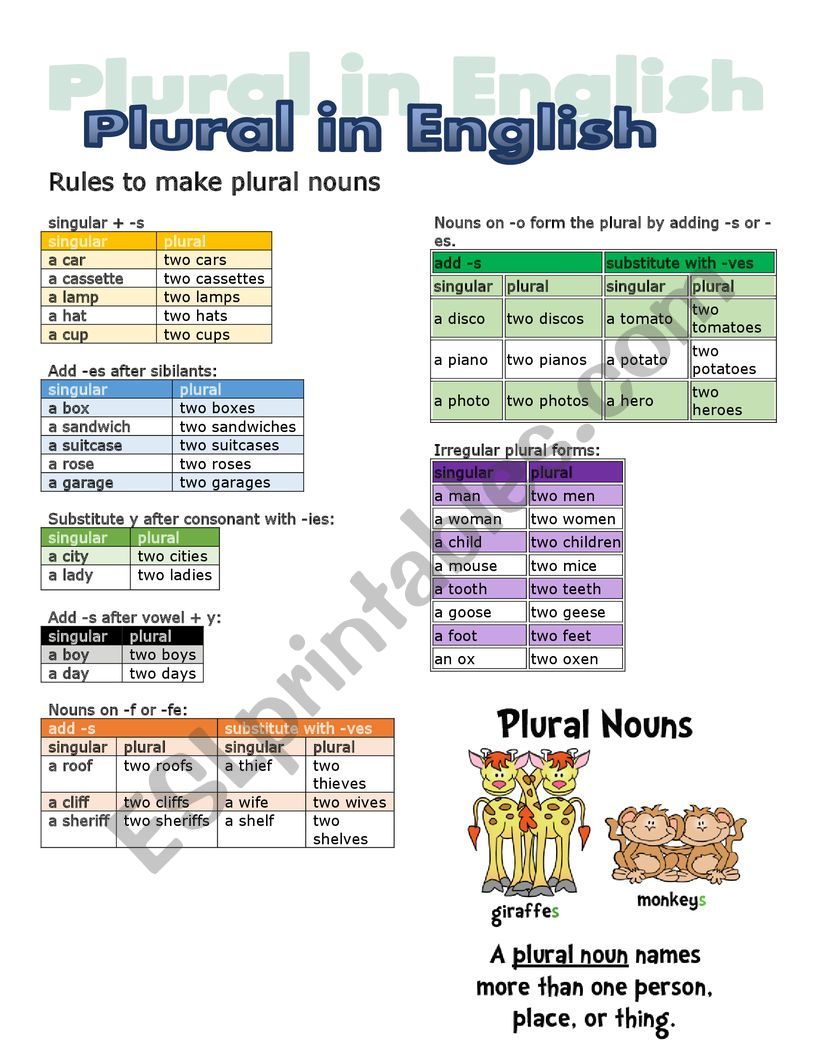 plural nouns worksheet