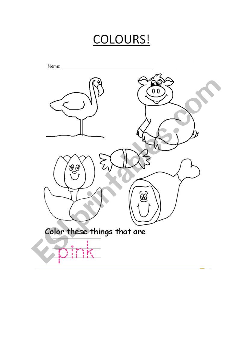Pink Colour worksheet