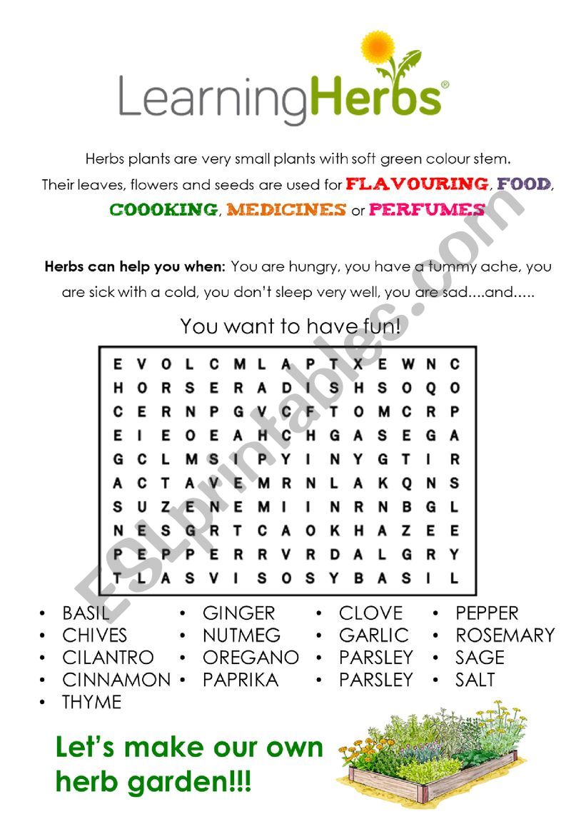 Herbs worksheet