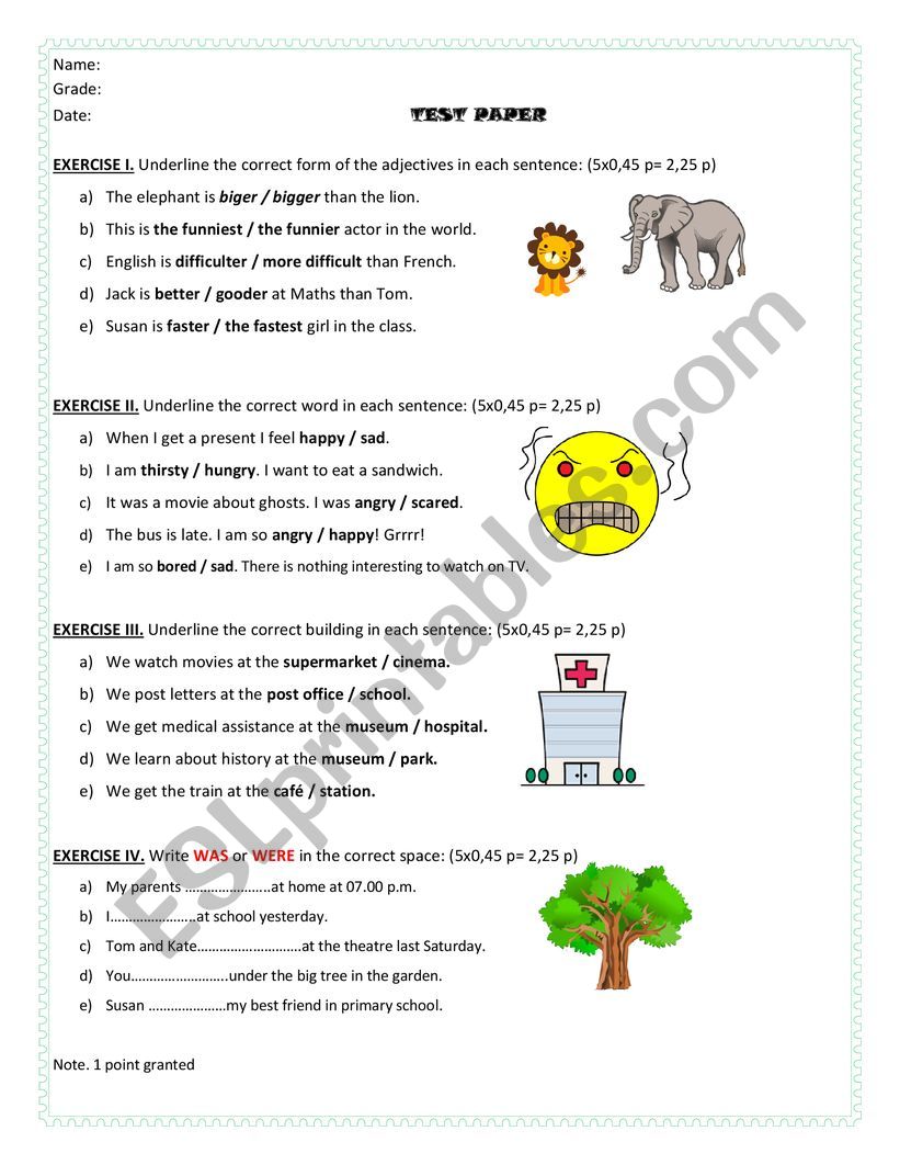 TEST PAPER worksheet