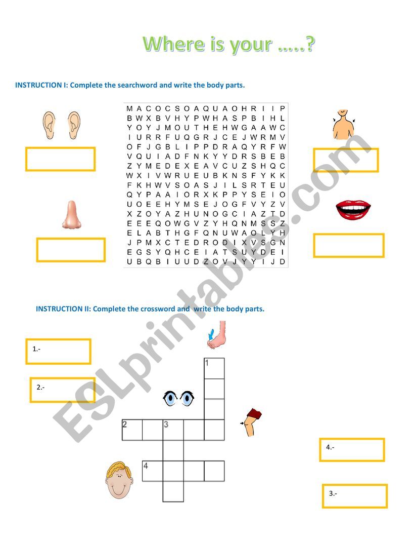 body parts worksheet