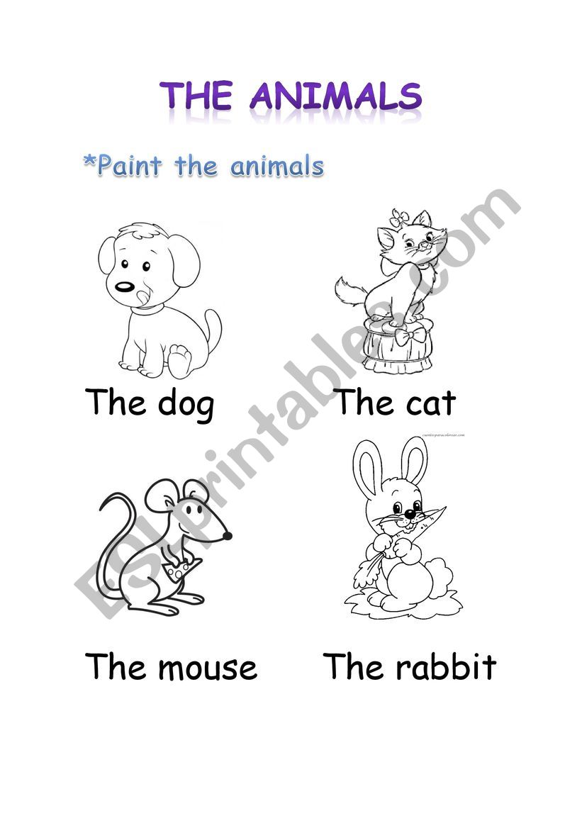 THE ANIMALS worksheet