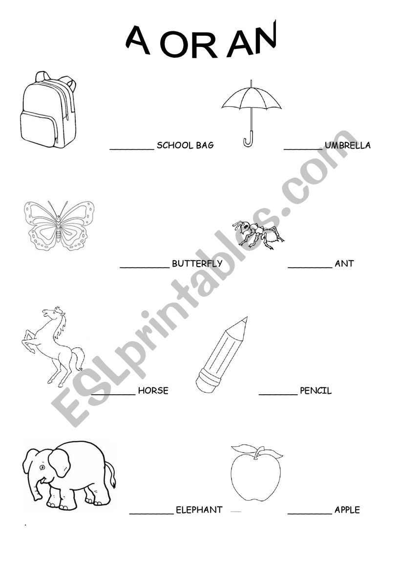A OR AN worksheet