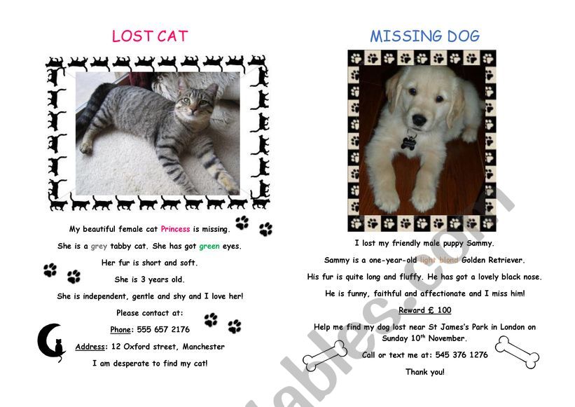 Lost cat, missing dog worksheet