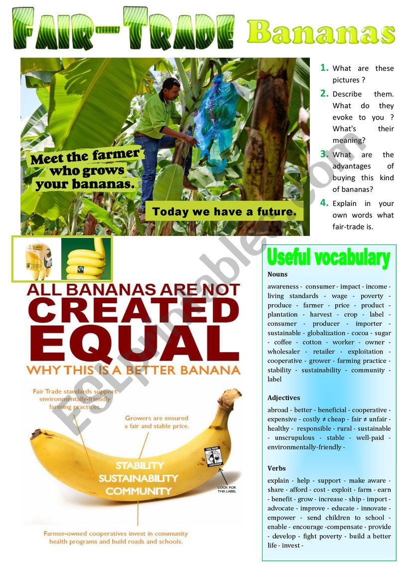 Fair-Trade Bananas - Picture Description + KEY