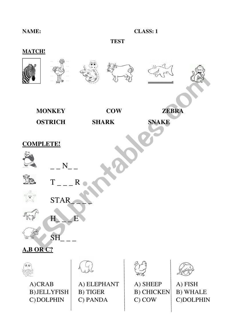 animals test worksheet