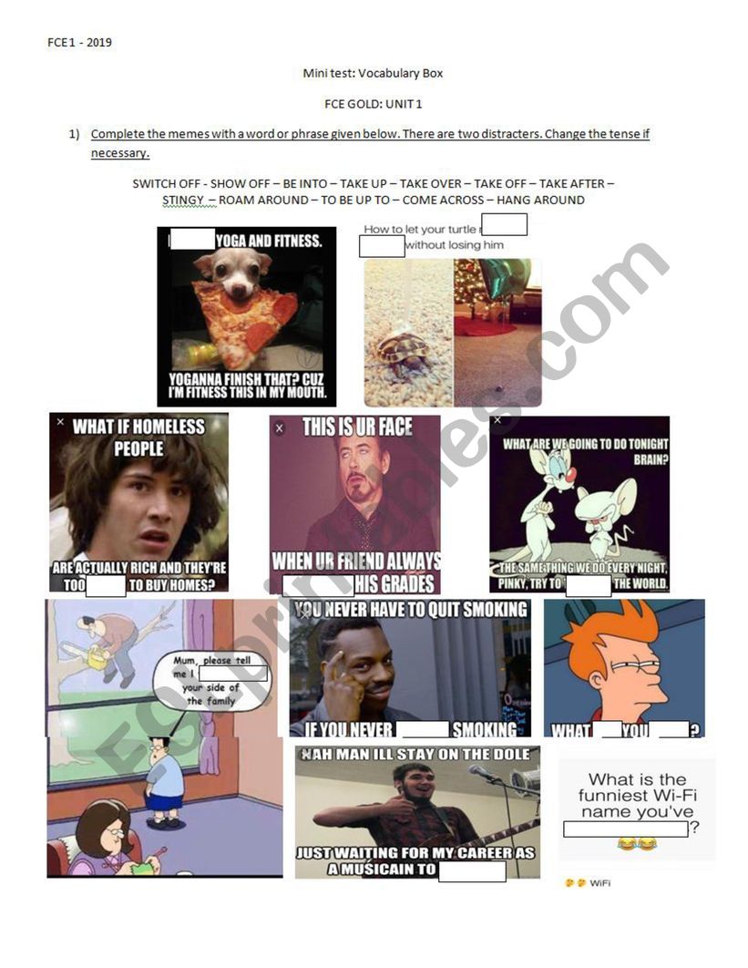 GOLD FCE Vocabulary UNIT 1 (Memes)